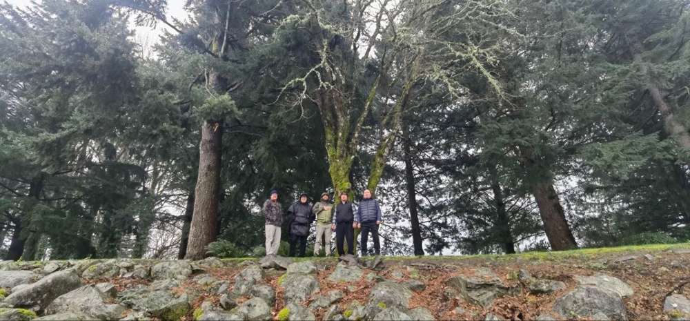 Alash, Redwood National Forest